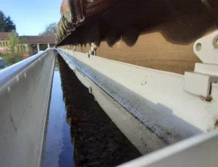 Gouttière encrassée où l'eau stagne