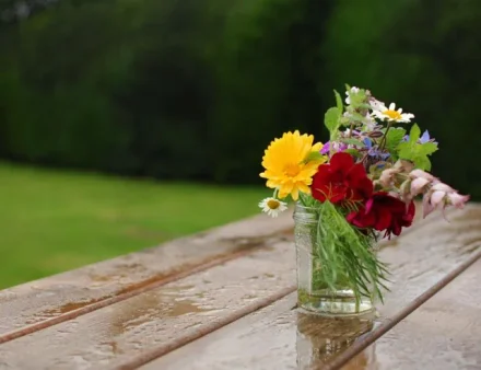 Petit vase de fleurs oublié dehors, rempli d'eau